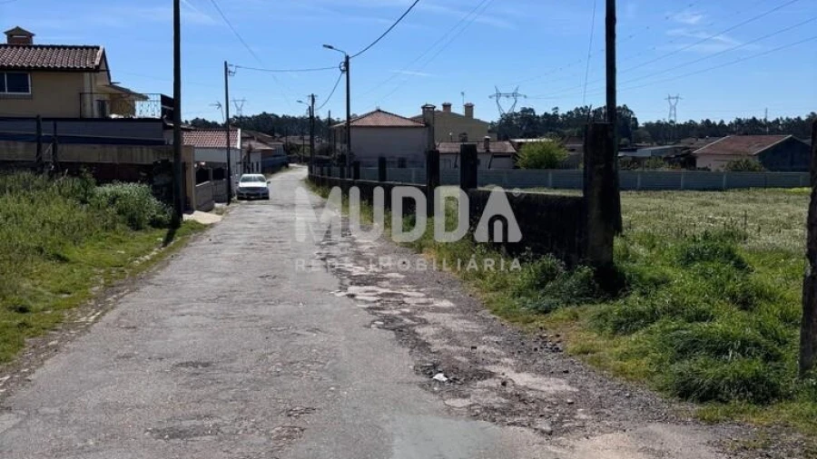 Terreno para Venda em Loureiro