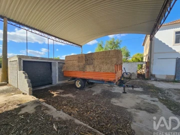 Quinta T3 para Venda em Torres Novas (Santa Maria, Salvador e Santiago)