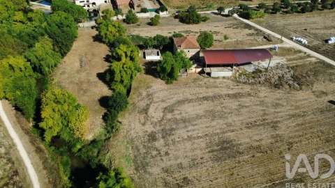 Quinta T3 para Venda em Torres Novas (Santa Maria, Salvador e Santiago)