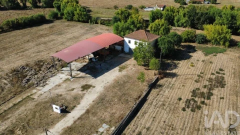 Quinta T3 para Venda em Torres Novas (Santa Maria, Salvador e Santiago)