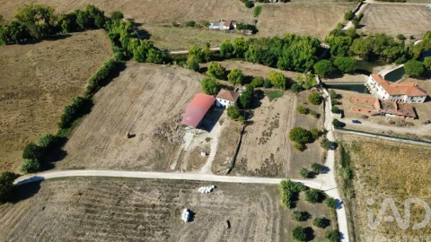 Quinta T3 para Venda em Torres Novas (Santa Maria, Salvador e Santiago)