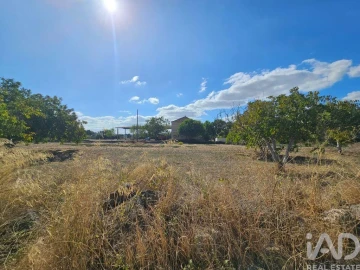 Quinta T3 para Venda em Torres Novas (Santa Maria, Salvador e Santiago)
