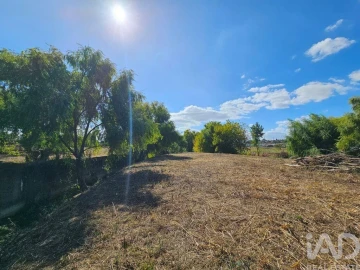 Quinta T3 para Venda em Torres Novas (Santa Maria, Salvador e Santiago)
