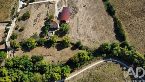 Quinta T3 para Venda em Torres Novas (Santa Maria, Salvador e Santiago)