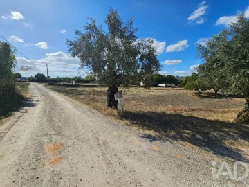 Quinta T3 para Venda em Torres Novas (Santa Maria, Salvador e Santiago)