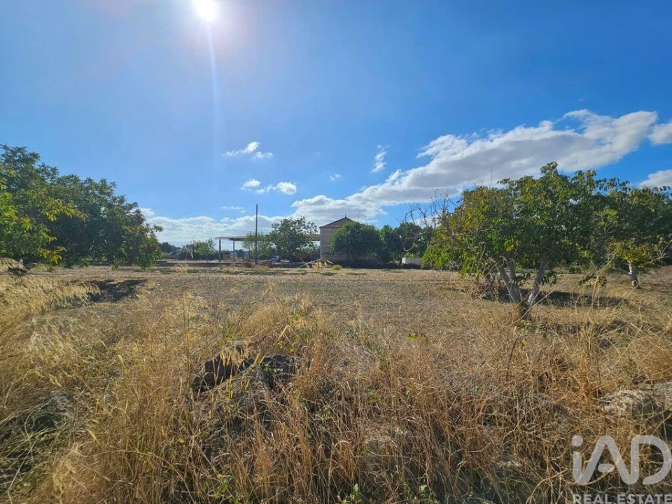 Quinta T3 para Venda em Torres Novas (Santa Maria, Salvador e Santiago) Foto 15
