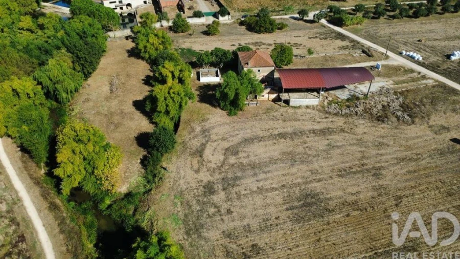 Quinta T3 para Venda em Torres Novas (Santa Maria, Salvador e Santiago) Foto 40