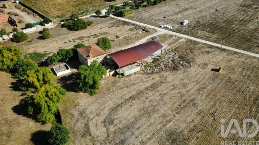 Quinta T3 para Venda em Torres Novas (Santa Maria, Salvador e Santiago) Foto 17