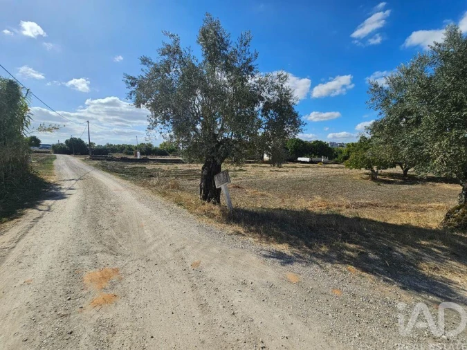 Quinta T3 para Venda em Torres Novas (Santa Maria, Salvador e Santiago) Foto 12