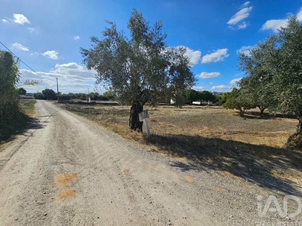 Quinta T3 para Venda em Torres Novas (Santa Maria, Salvador e Santiago) Foto 12