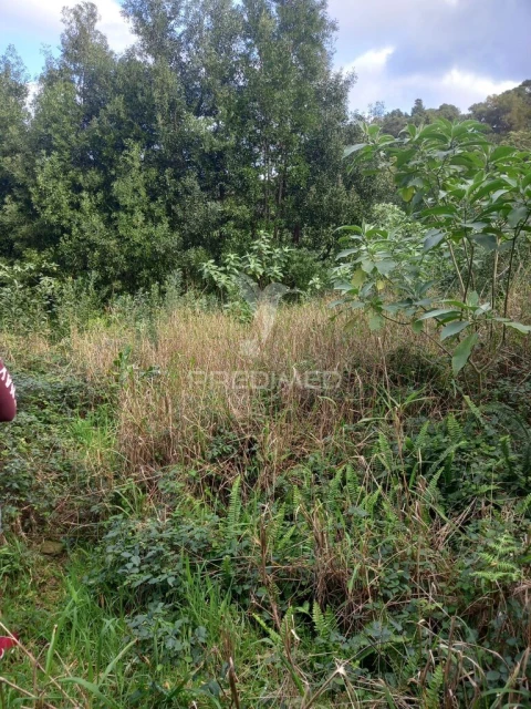 Terreno para Venda em Biscoitos