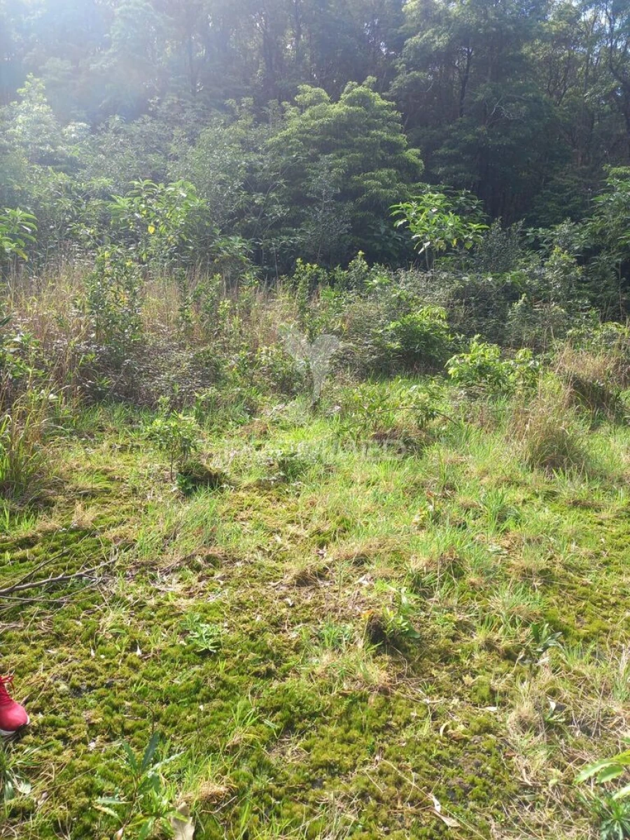 Terreno para Venda em Biscoitos Foto 6