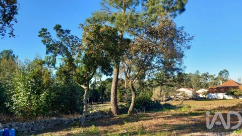 Moradia T3 para Venda em Alcobaça e Vestiaria