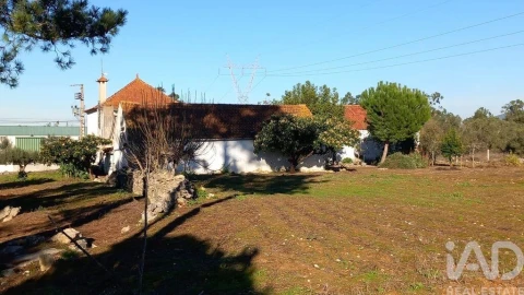 Moradia T3 para Venda em Alcobaça e Vestiaria