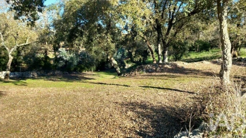 Moradia T3 para Venda em Alcobaça e Vestiaria