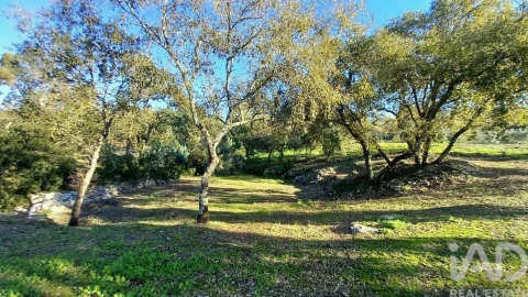 Moradia T3 para Venda em Alcobaça e Vestiaria