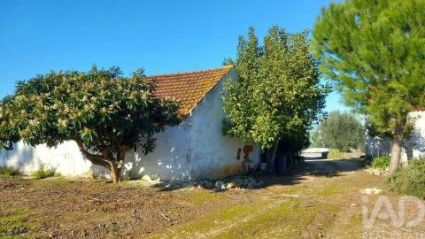 Moradia T3 para Venda em Alcobaça e Vestiaria