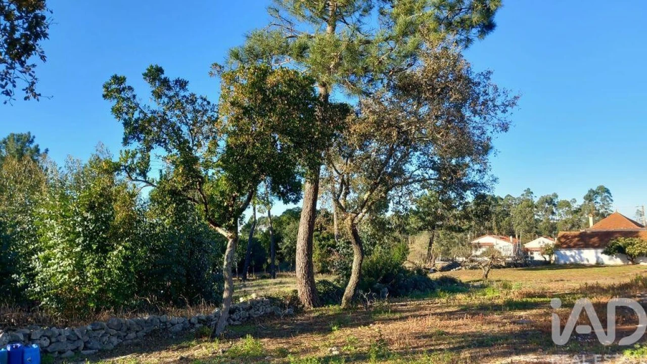 Moradia T3 para Venda em Alcobaça e Vestiaria Foto 9
