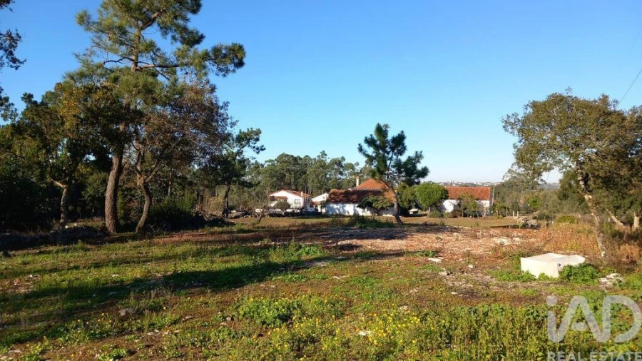 Moradia T3 para Venda em Alcobaça e Vestiaria Foto 38