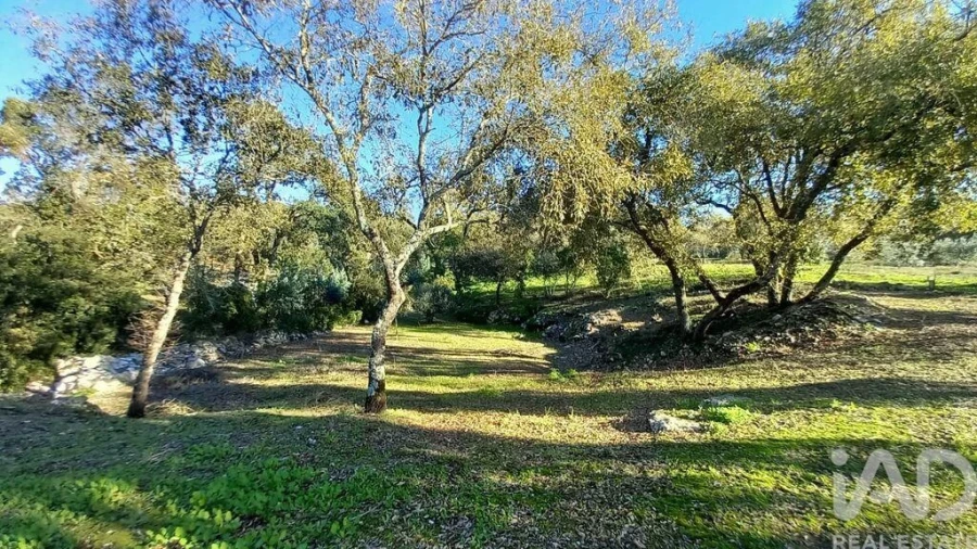 Moradia T3 para Venda em Alcobaça e Vestiaria Foto 8