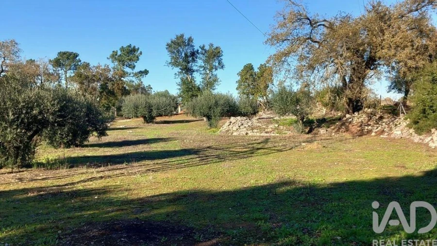 Moradia T3 para Venda em Alcobaça e Vestiaria Foto 37