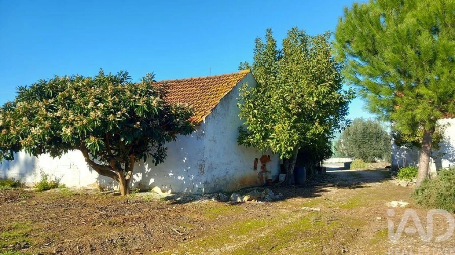 Moradia T3 para Venda em Alcobaça e Vestiaria Foto 33