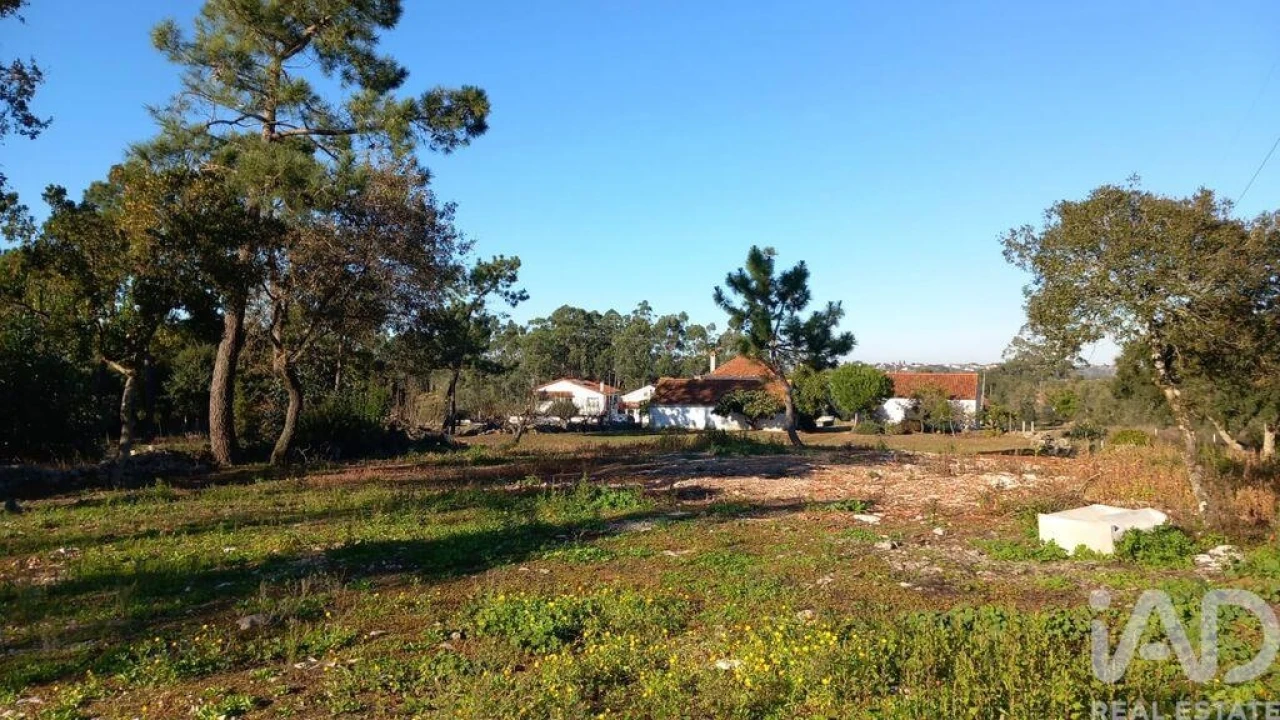 Moradia T3 para Venda em Alcobaça e Vestiaria Foto 38