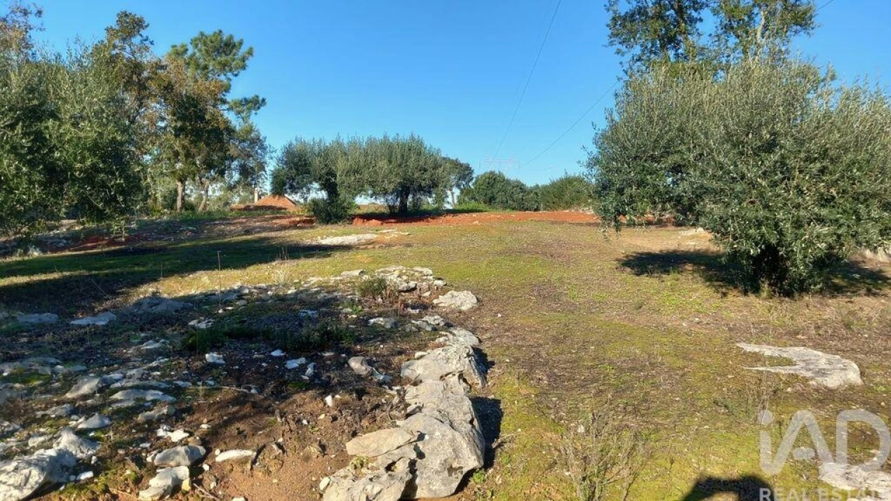 Moradia T3 para Venda em Alcobaça e Vestiaria Foto 40