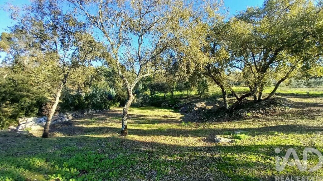 Moradia T3 para Venda em Alcobaça e Vestiaria Foto 8