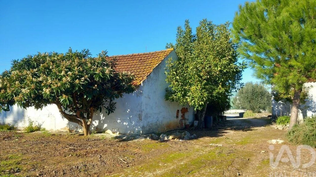 Moradia T3 para Venda em Alcobaça e Vestiaria Foto 33