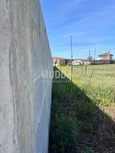 Terreno para Venda em Loureiro