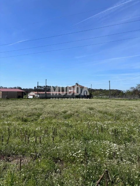 Terreno para Venda em Loureiro