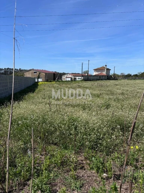 Terreno para Venda em Loureiro