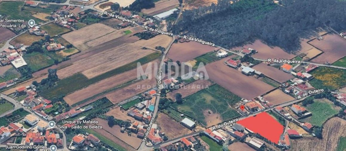 Terreno para Venda em Loureiro Foto 12