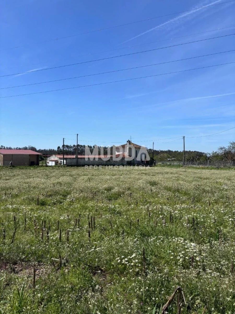 Terreno para Venda em Loureiro Foto 10