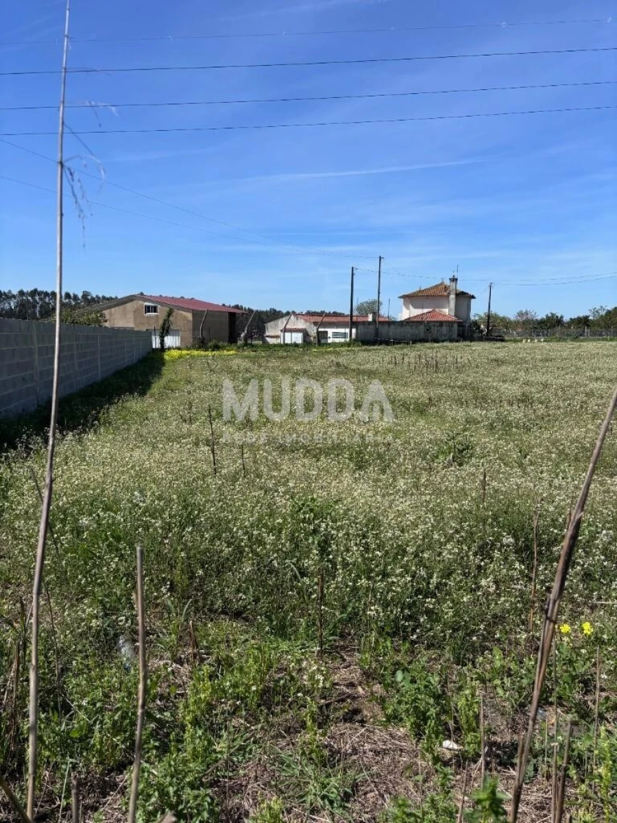 Terreno para Venda em Loureiro Foto 12