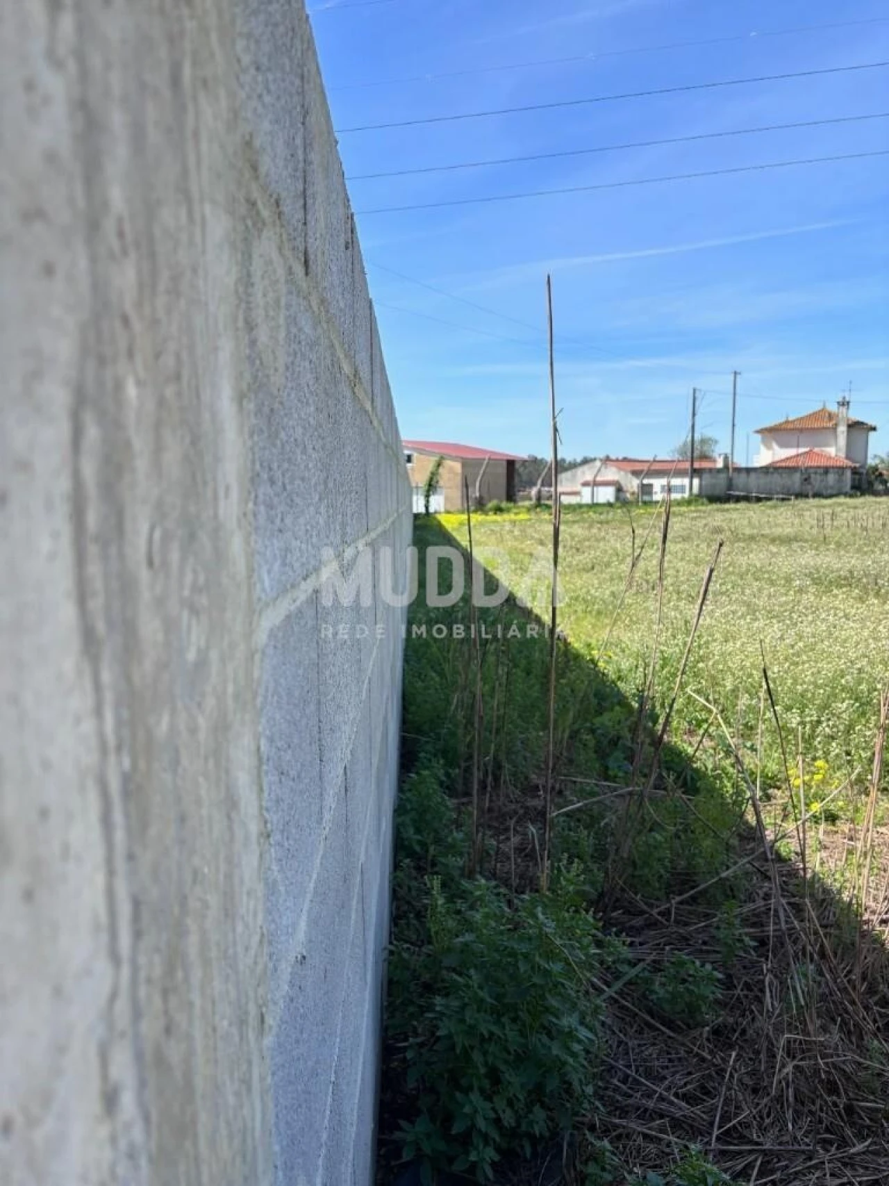 Terreno para Venda em Loureiro Foto 11