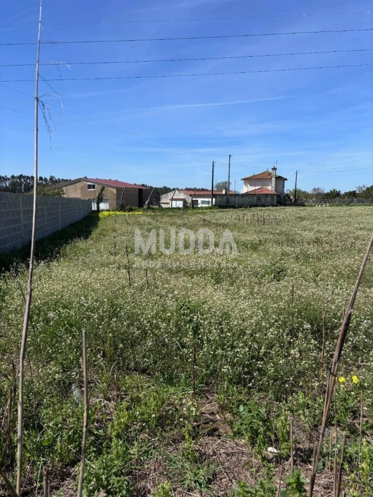 Terreno para Venda em Loureiro Foto 12