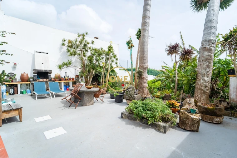 Moradia T3 para Venda em Rosto do Cão (Livramento) Foto 13