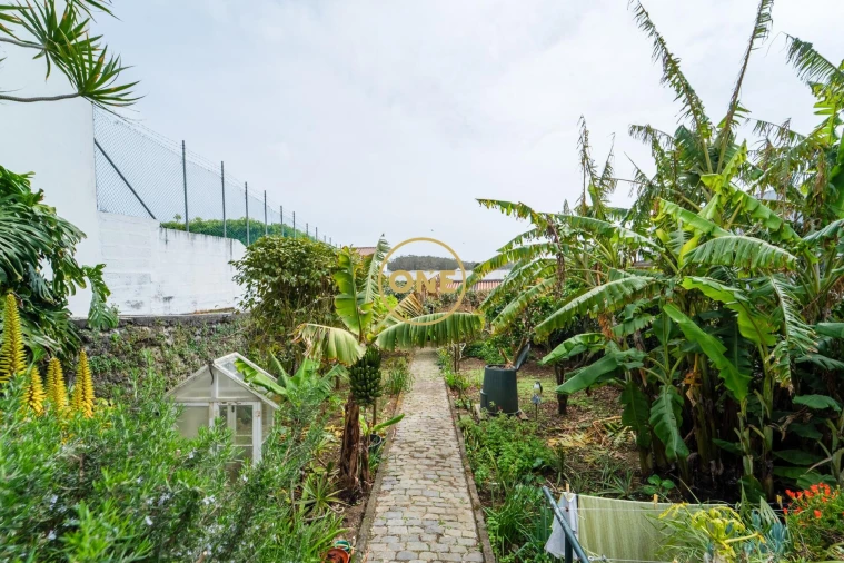 Moradia T3 para Venda em Rosto do Cão (Livramento) Foto 16