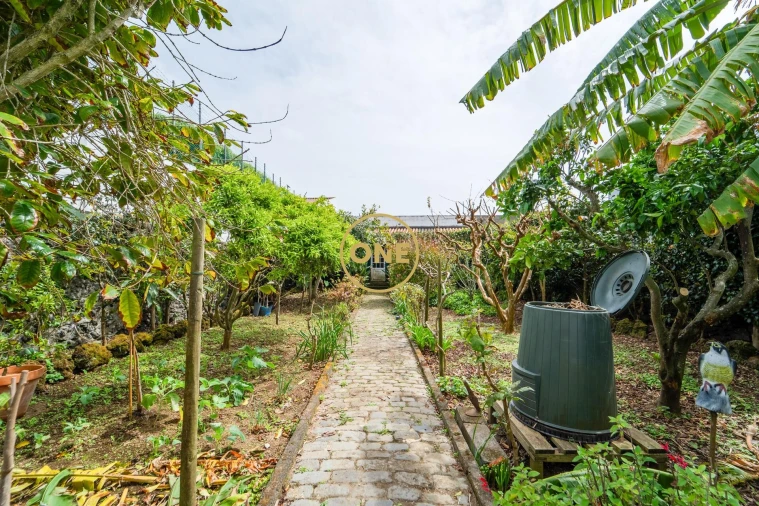 Moradia T3 para Venda em Rosto do Cão (Livramento) Foto 19