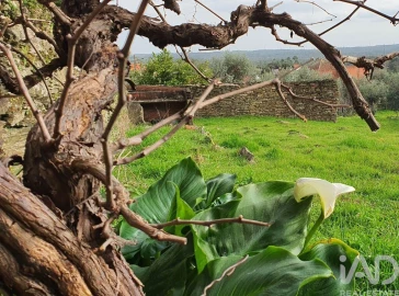 Moradia T3 para Venda em Castelo Branco