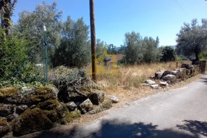 Terreno para Venda em Fonte Arcada e Oliveira