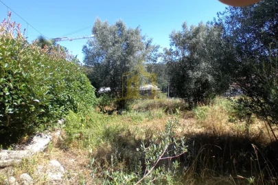 Terreno para Venda em Fonte Arcada e Oliveira