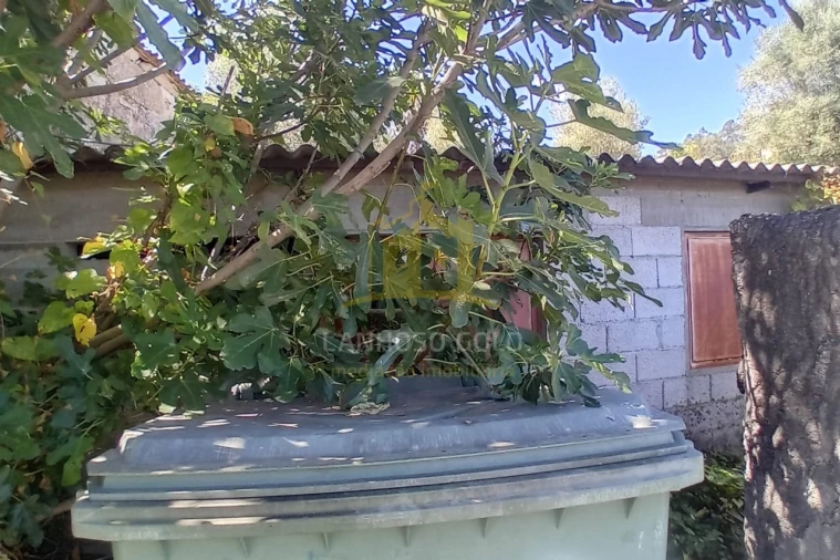 Terreno para Venda em Fonte Arcada e Oliveira Foto 5