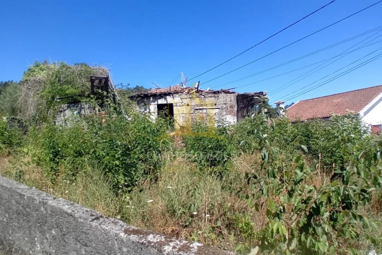 Terreno para Venda em Fonte Arcada e Oliveira Foto 6