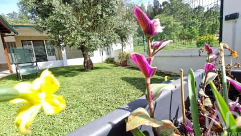 Moradia T4 para Venda em Pedreiras