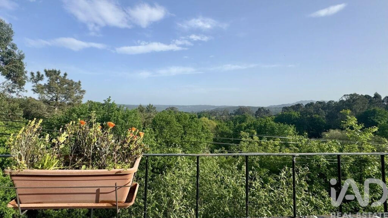 Moradia T6 para Venda em Carvalhais e Candal Foto 8