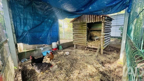 Moradia T6 para Venda em Carvalhais e Candal