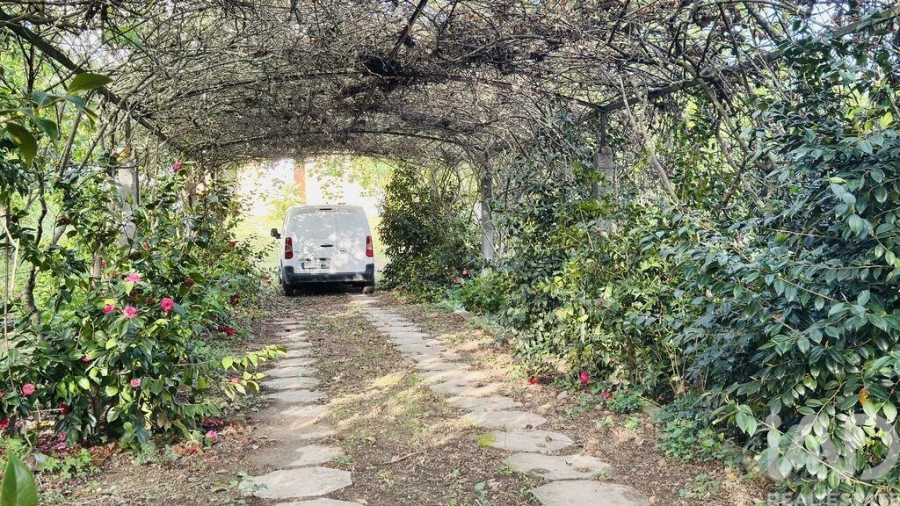 Moradia T6 para Venda em Carvalhais e Candal Foto 33